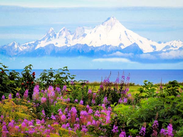 Alaska Kreuzfahrt Frühjahr 2025 buchen
