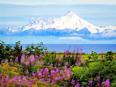 Alaska Kreuzfahrt ab Seward / Anchorage bis Vancouver