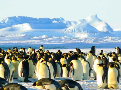 Wunderwelt Antarktis & Chilenische Fjorde