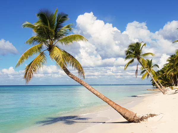Celebrity Apex Virgin Islands Kreuzfahrt Reisen 2024, 2025 & 2026 buchen