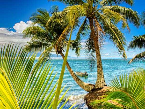 Costa Deliziosa Samoa Kreuzfahrt Reisen 2025 & 2026 buchen