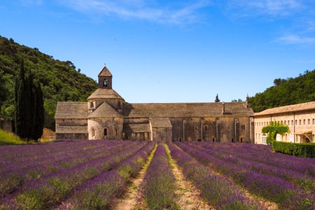 Burgund und Provence